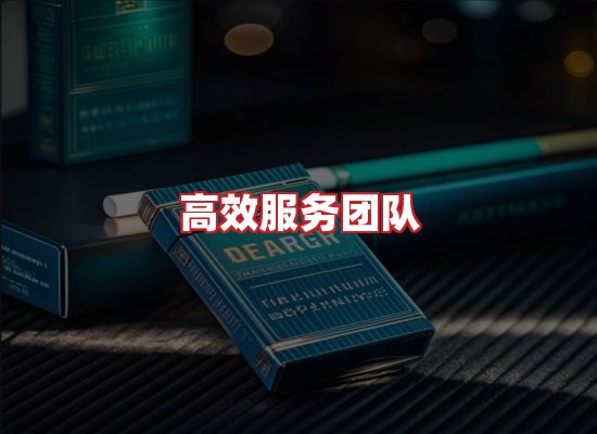 专业团队
